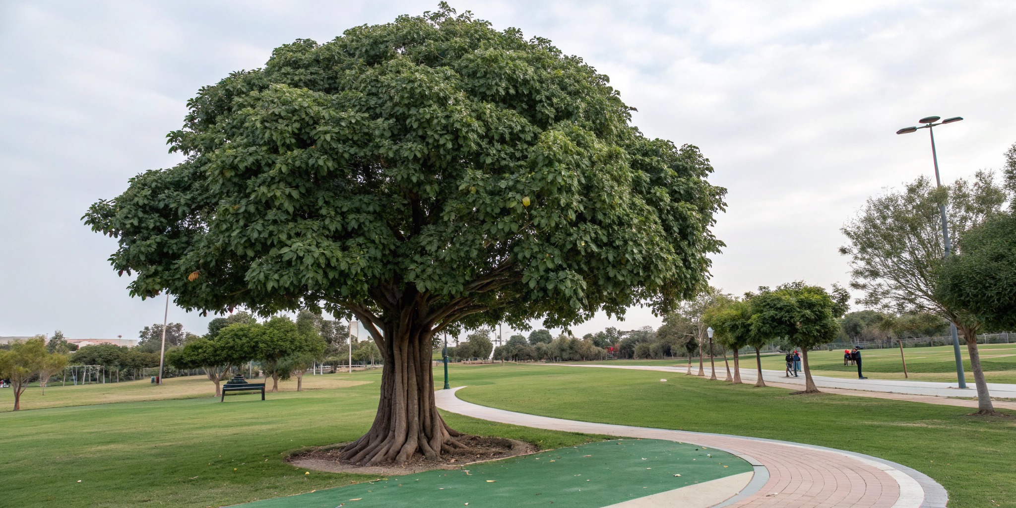 Large_artificial_ficus_tree_for_outdoor_decoration