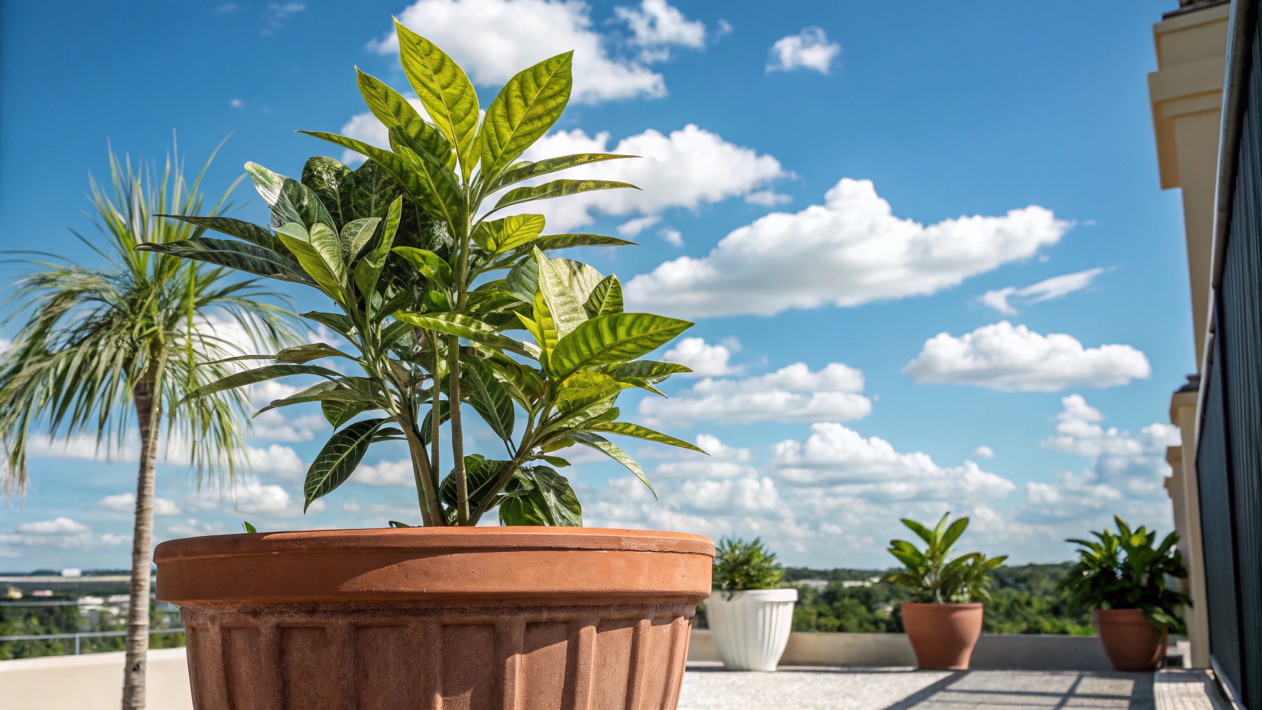 Outdoor Artificial Plants that look real