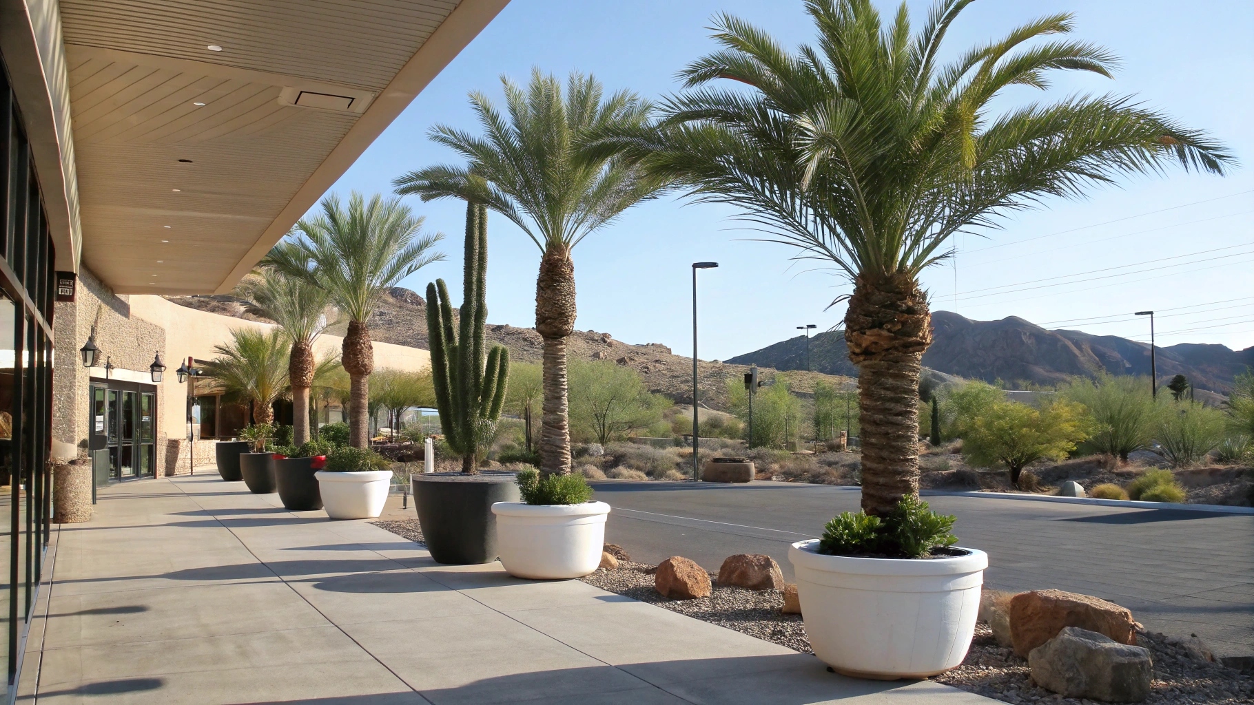 tropical-artificial-palm-trees