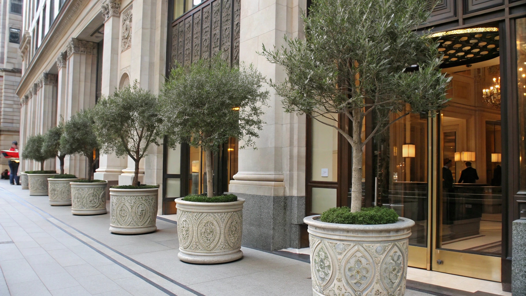 fake-olive-trees-Outdoor