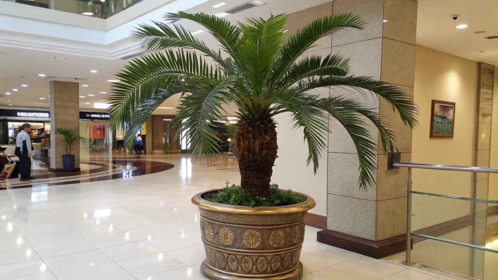 high quality fake Palm Plants