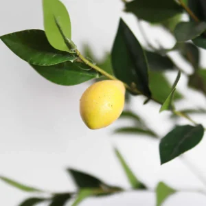 Realistic Faux Plants