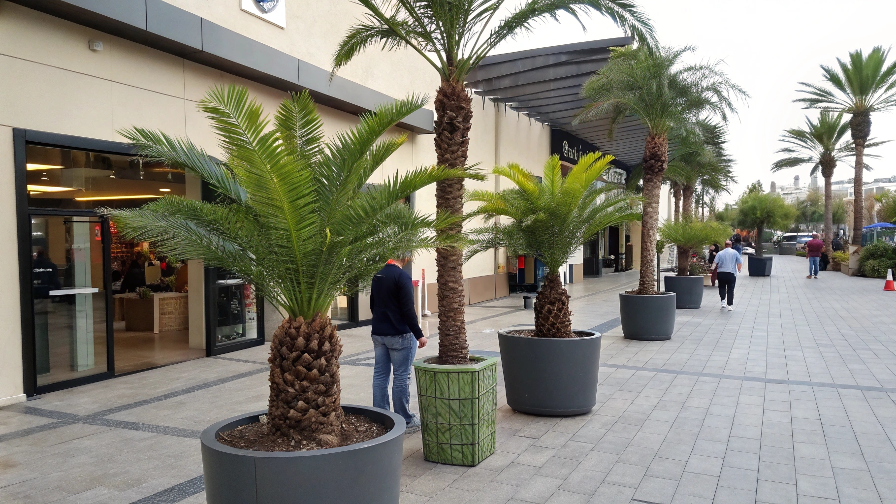 Realistic artificial palm plants in pot in the Commercial place outside