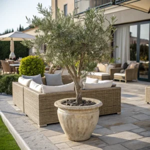 Outdoor_Artificial_Olive_Tree