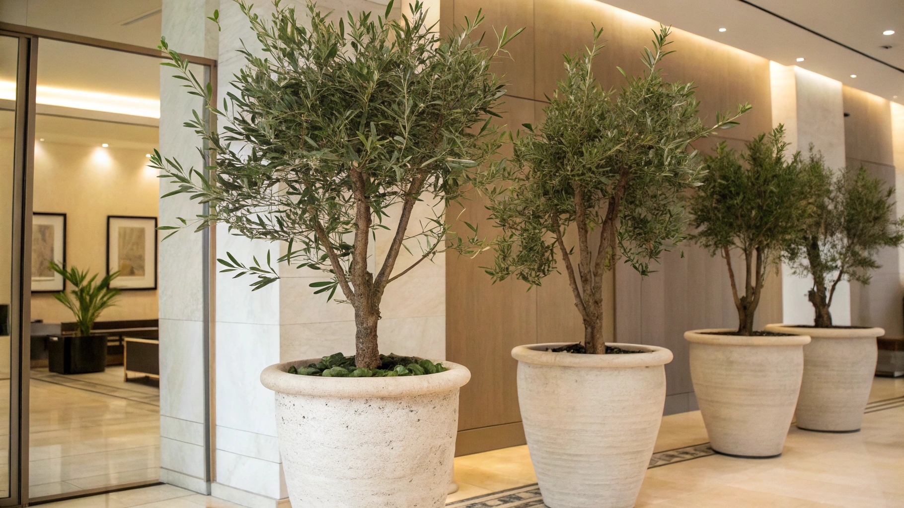 Pot Proportional Guidelines Based on Plant Height.