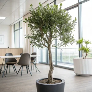 fake_potted_olive_tree_for_Office_Decoration