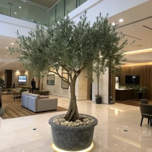 fake_potted_olive_tree_for_hotel_Decoration