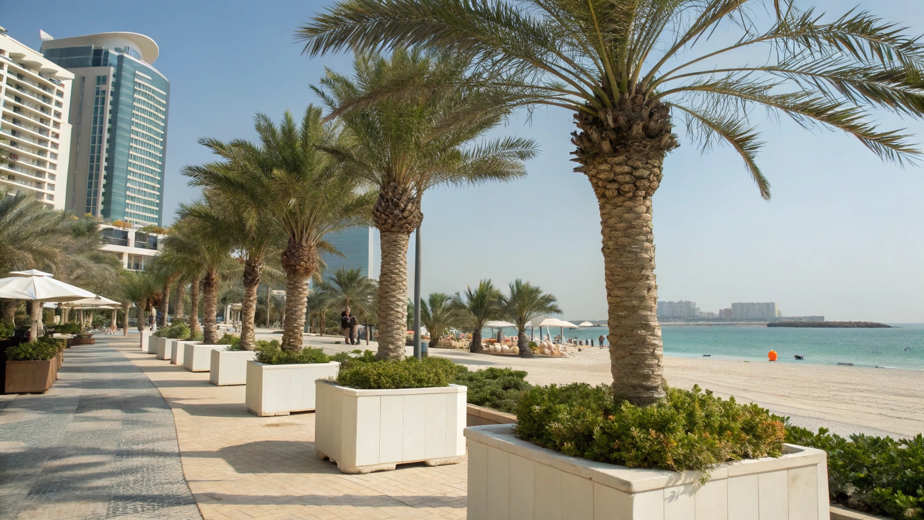 palm trees installed at beach resorts in Dubai