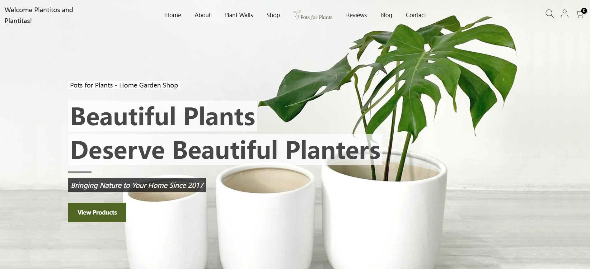 Artificial Plants Factory in the Philippines 4