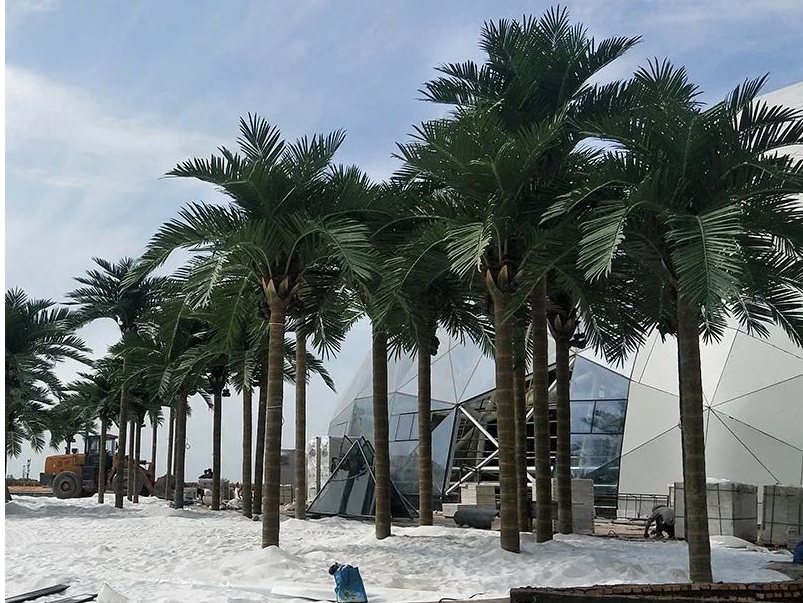 Artificial Plants Supplier in UAE