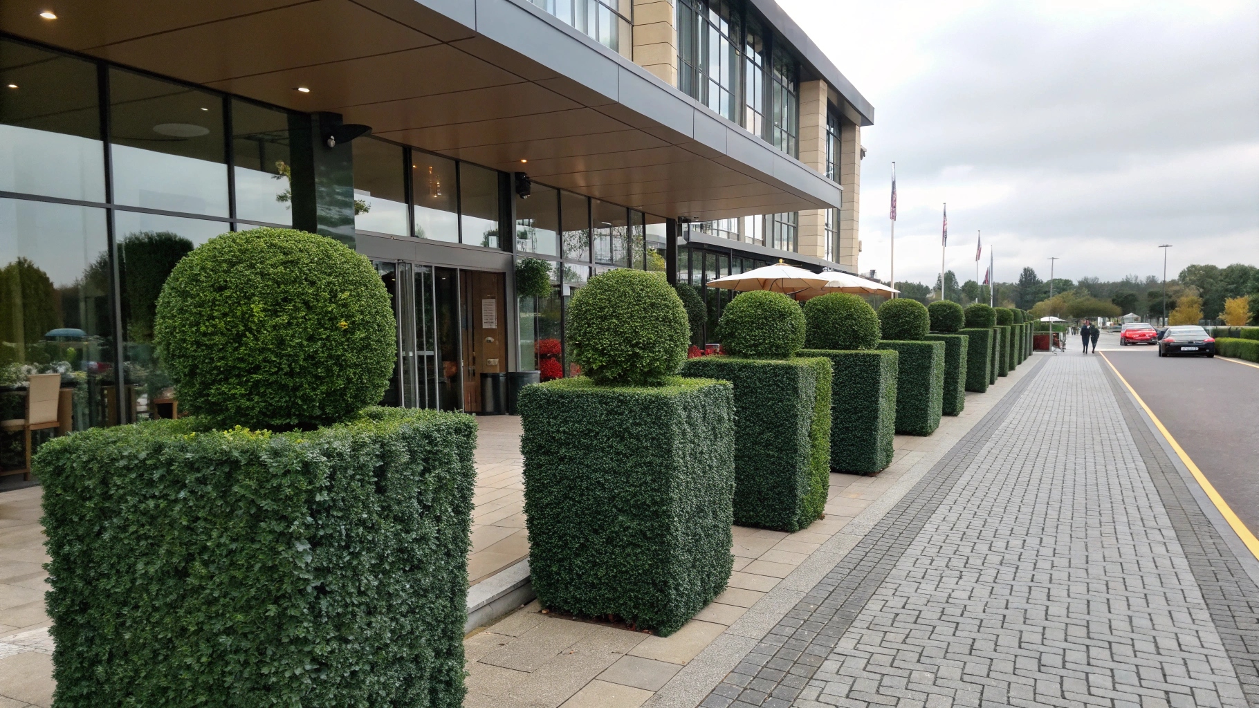 artificial-hedges-outside