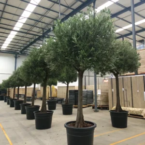 Artificial_black_olive_tree_Factory
