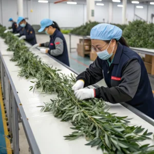 Fire_Safe_Silk_Olive_Tree_Production