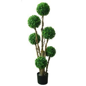 Multiball Boxwood topiary
