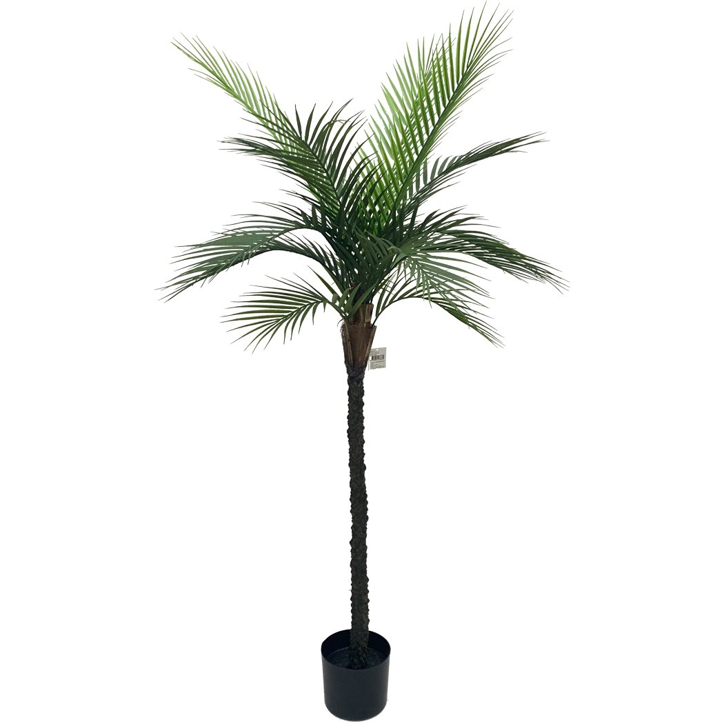 Artificial Palm tree - Feelreal - Premier Supplier of Lifelike ...