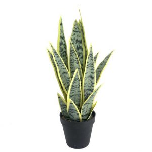 Artificial Bonsai Table Top Plants