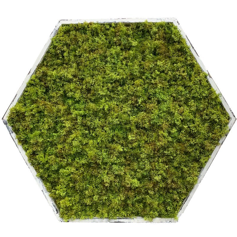 Artificial Green Wall Frame hexagon (with UV/FR retardant) - Feelreal ...