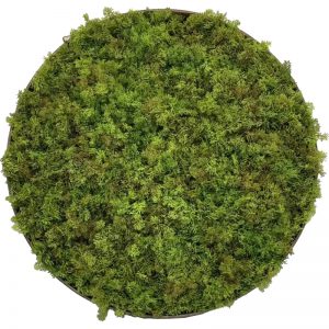 Artificial Green Wall Frame hexagon (with UV/FR retardant)