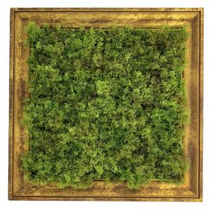 Artificial Moss Wall Frame Square(with UV/FR retardant)