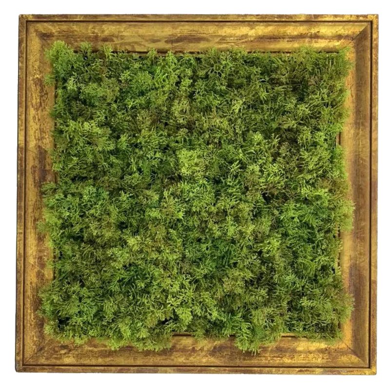 Artificial Moss Wall Frame Square（with UV/FR retardant） - Feelreal -  Premier Supplier of Lifelike Artificial Plants for B2B Export