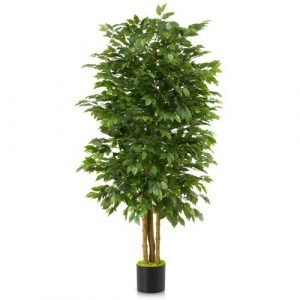 Artificial Ficus Tree