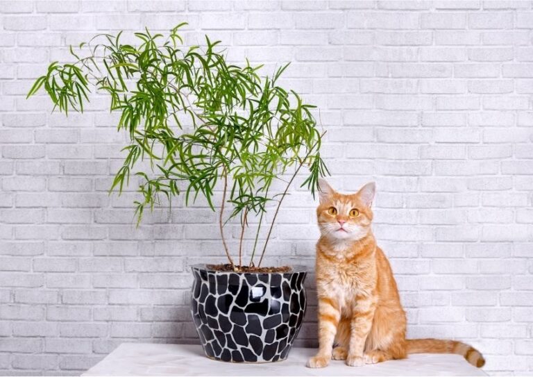 TRADE ASSURANCE 101 A BEGINNER’S COMPLETE GUIDE china artificial