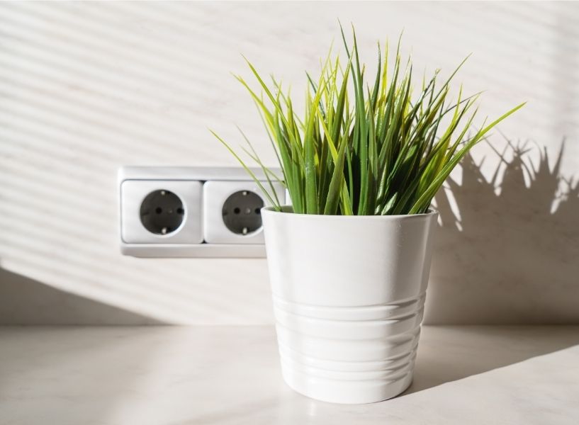 5 Best Choices for Indoor Artificial Plants Wholesale Feelreal