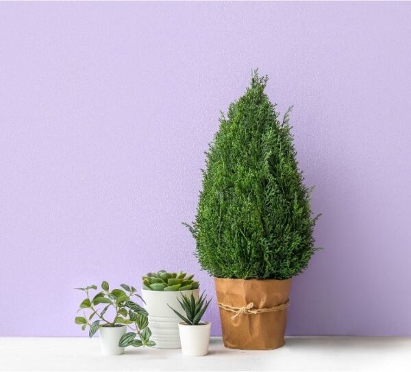 10 Best Styling Methods to Make Your Artificial Tree Look More