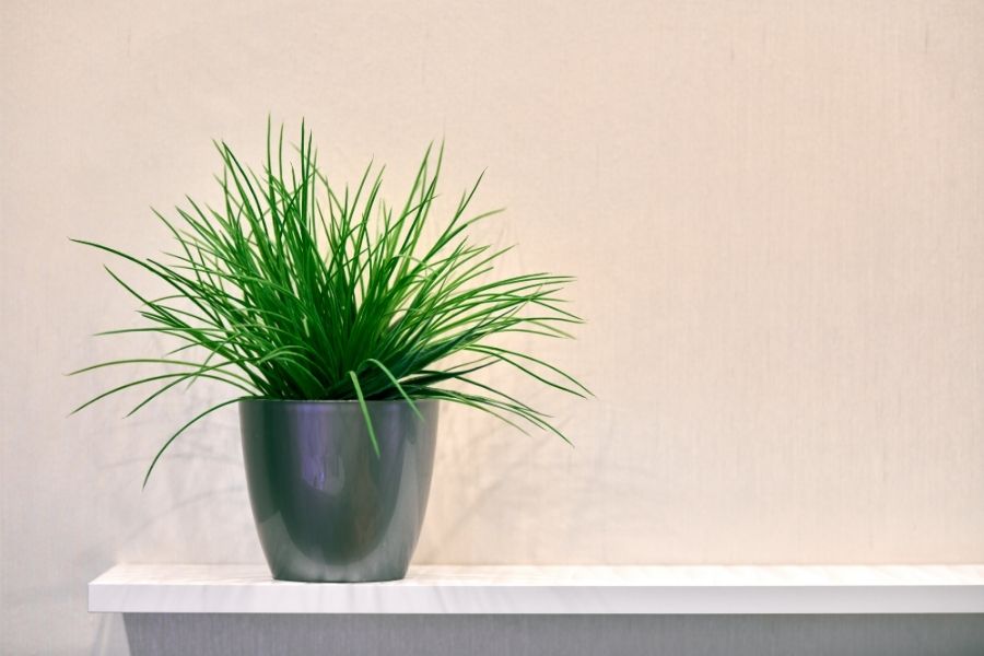 How to Use Artificial Floor Plants for Indoor Home Decor? - Feelreal ...