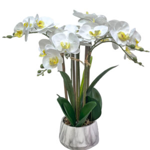 Artificial Orchid Plant