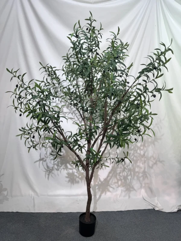 FireSafe Large Olive Tree