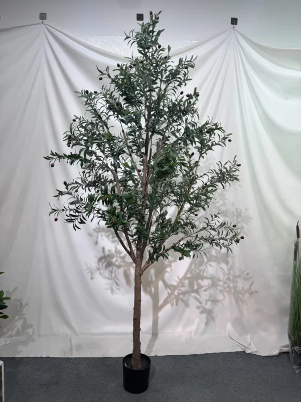 FireSafe Large Olive Tree - Image 2