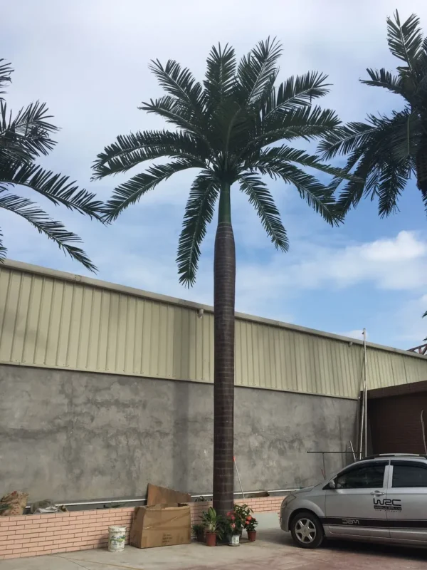 Coconut Palm Trees 10", 12", 15" - Image 2