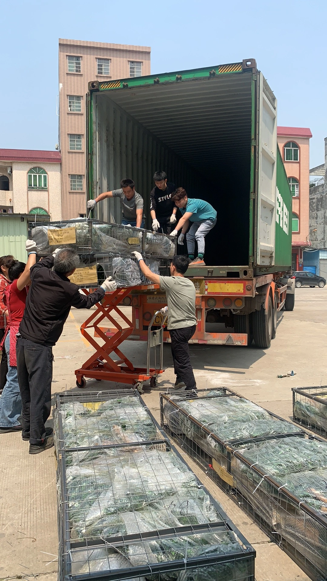 best Artificial Palm_Tree_Factory
