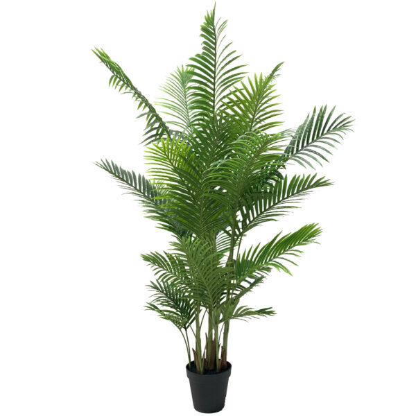 Large Potted Areca Palm Tree - Image 2