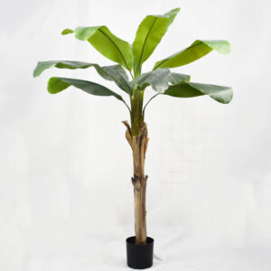 Flame-Resistant Banana Palm