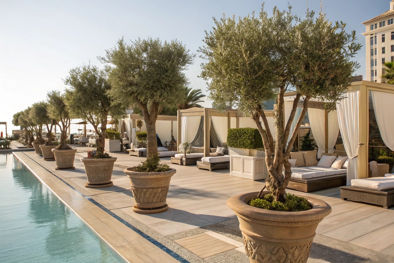 Artificial Olive Plant Outdoor Artificial Olive Plant Outdoor