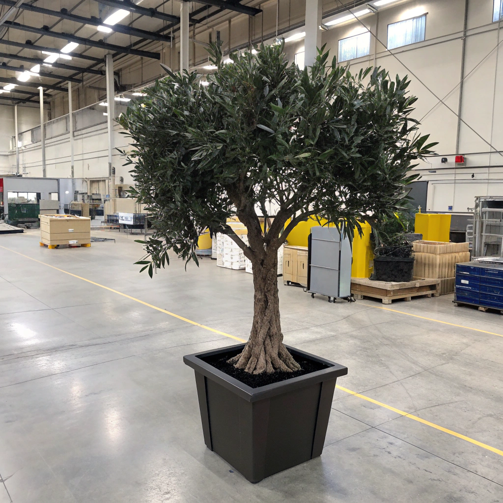 Faux Black Olive Tree Faux Black Olive Tree