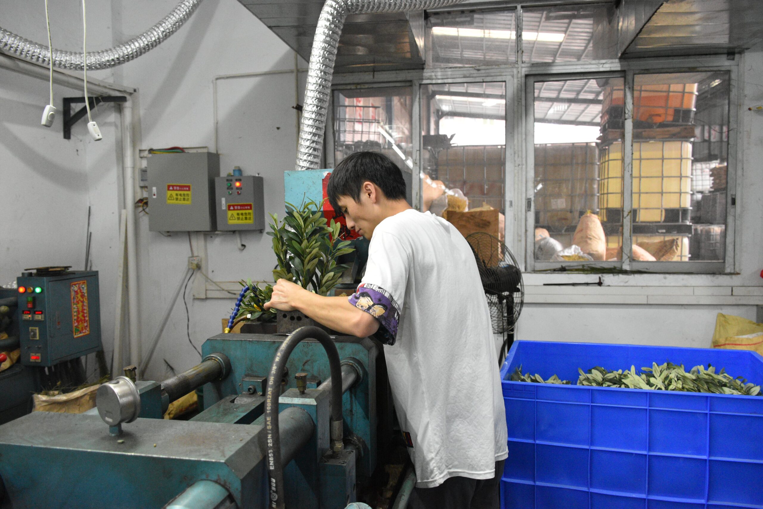 olive tree Precision Molding & Foliage Creation
