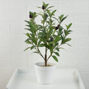 Fake Potted Olive Tree