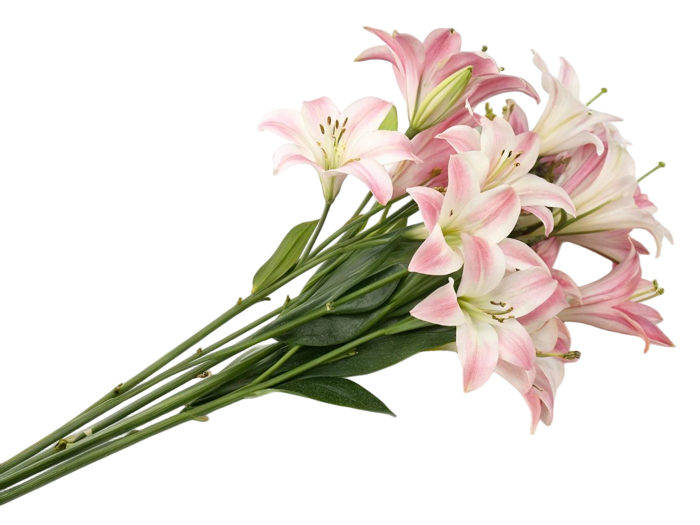 artificial lily Flowers