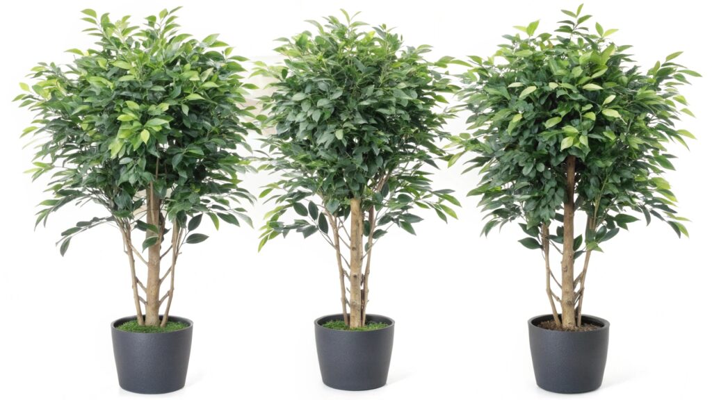 the-best--artificial-plants-