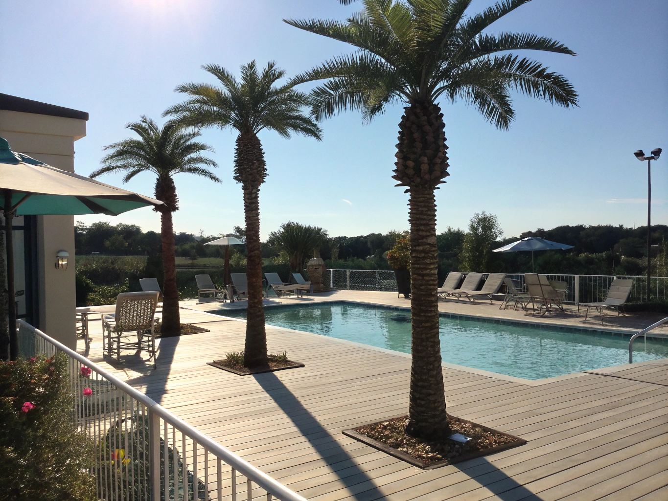Tropical Poolside Oases fake Plants for hotels