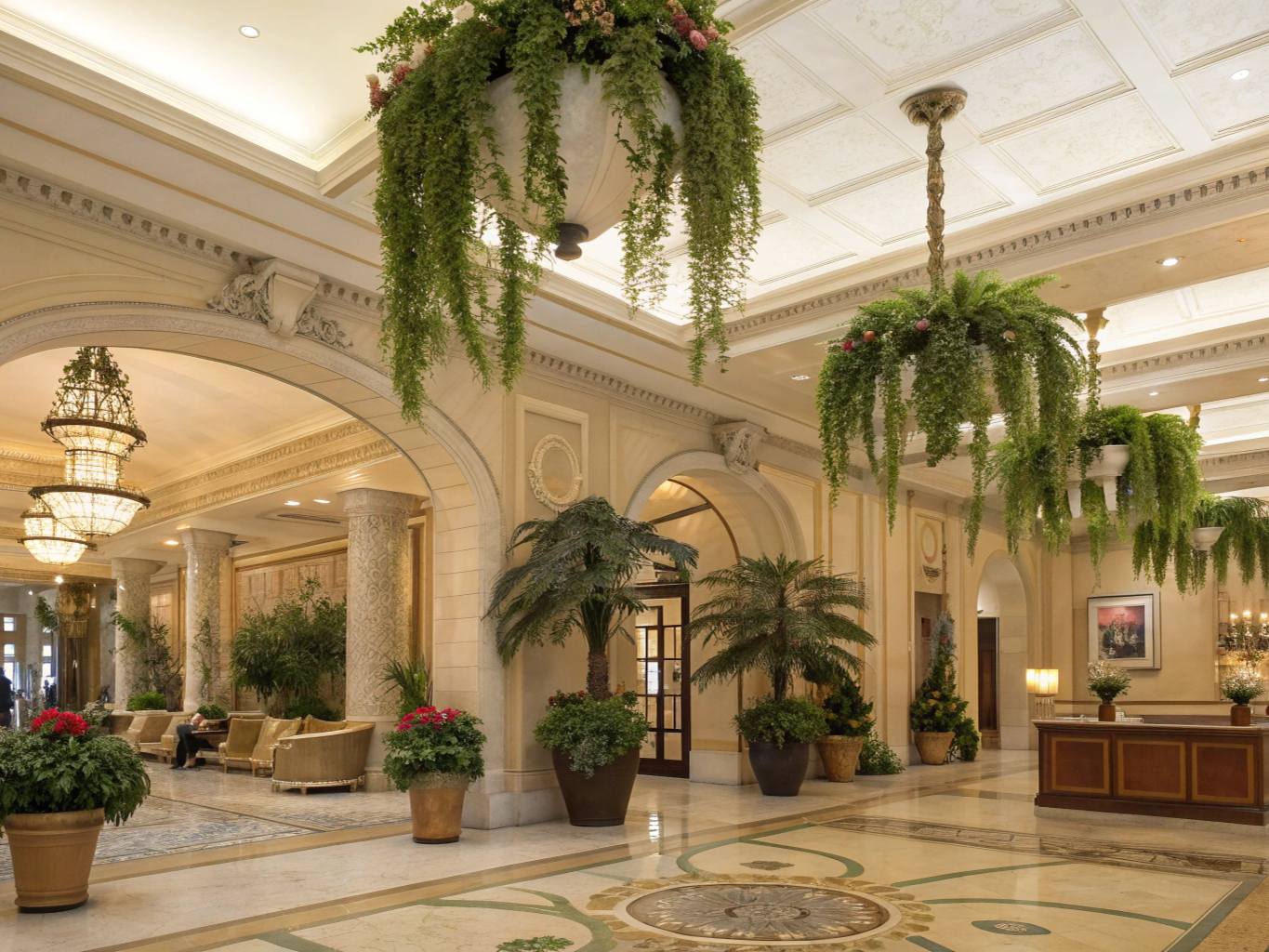 artificial Plants for hotels