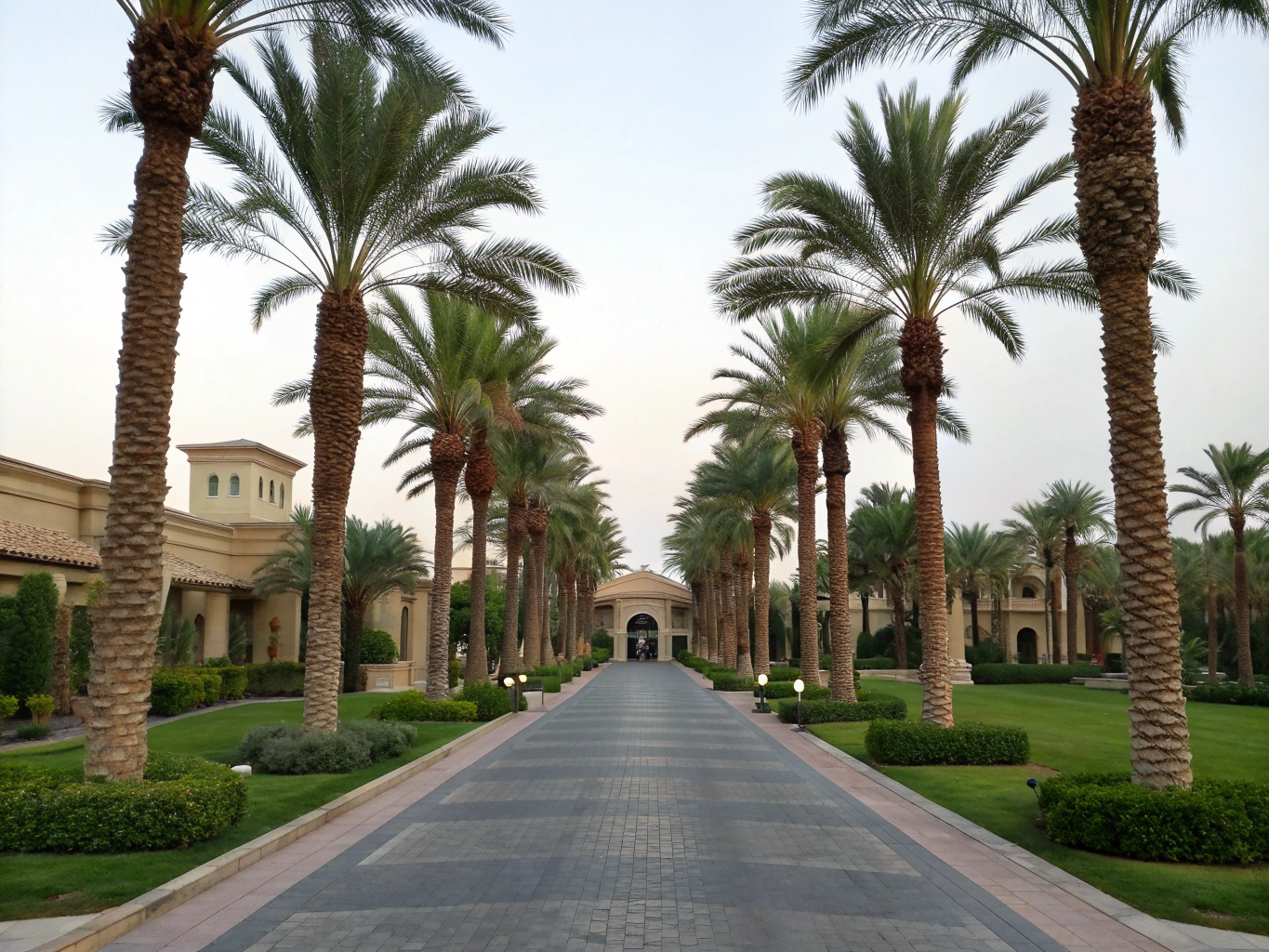 artificial palm trees for Hotel