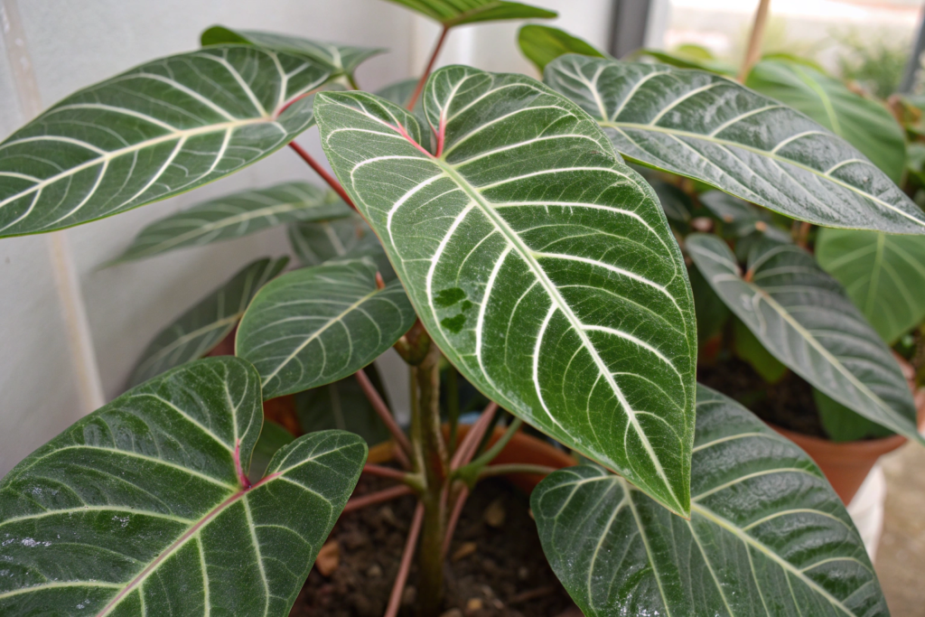 the most Realistic Artificial plants