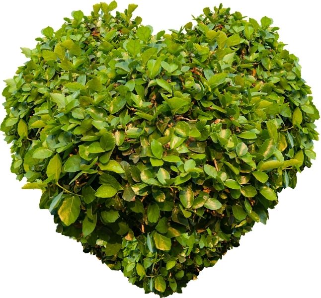 Artificial Green Wall Indoor Artificial Green Wall Indoor