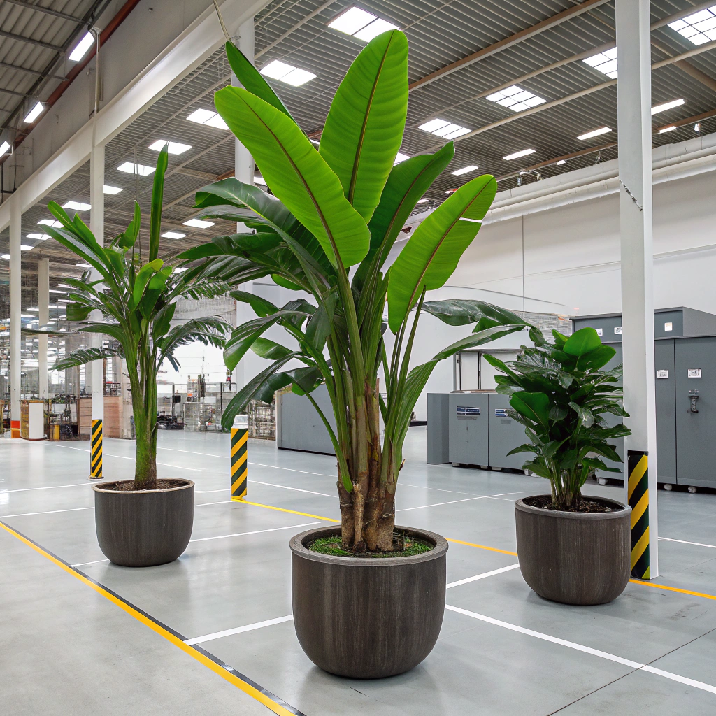 artificial banana trees in decorative pots