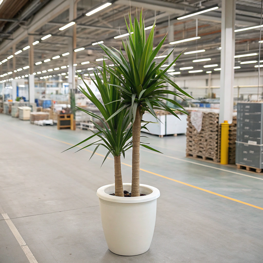 artificial house plants-- artificial yucca plant