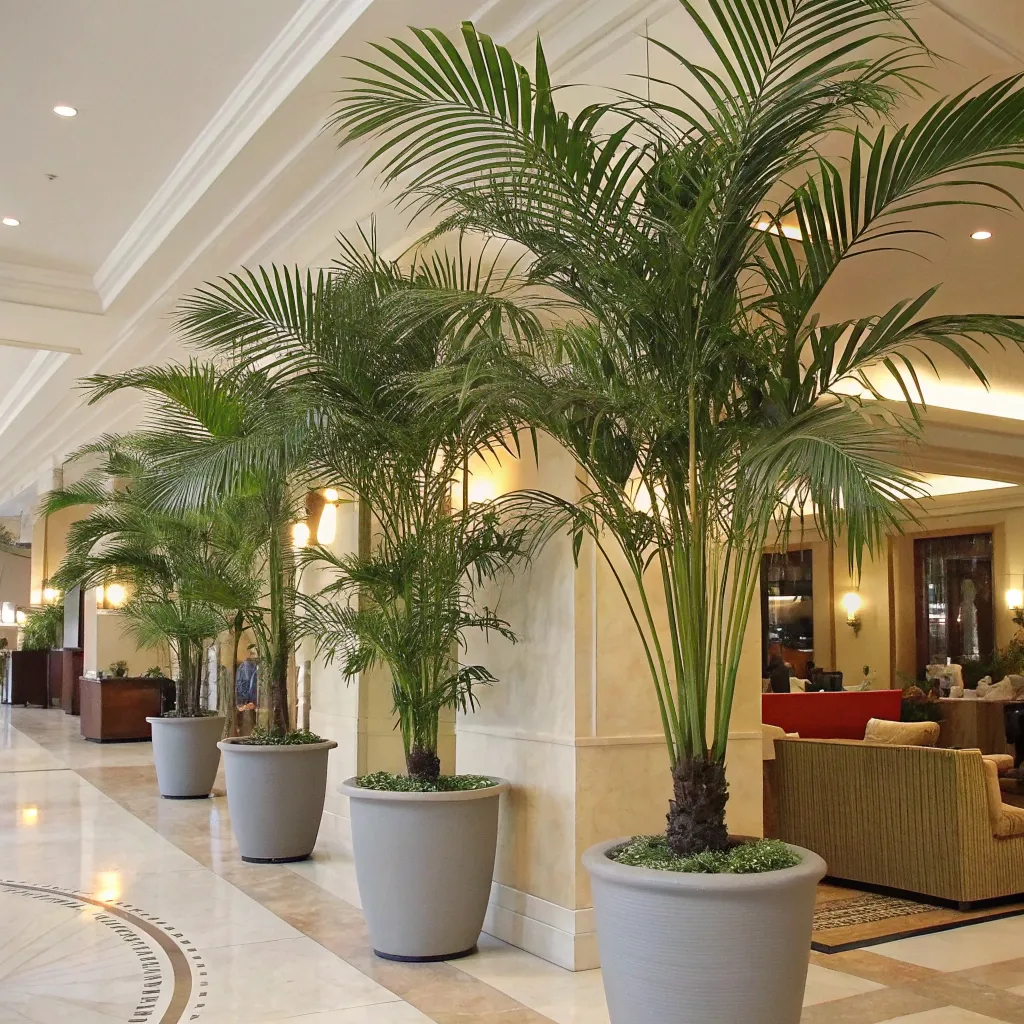 Artificial_Areca_Palms_in_pots_in_a_hotel